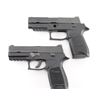 Image 2 : SIG SAUER P250 .45 ACP / .40 S&W EAU019613