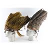 Image 1 : 2 Wild West Show Turkey Feather Headdress