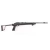 Ruger 10-22 Carbine .22 LR 242-32090