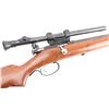 Image 7 : Stevens Bolt Action .25 RF NVSN