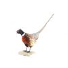 Image 2 : Pheasant Mount On Wood Base