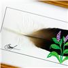 Image 3 : PAINTED FEATHER - HUMMINGBIRD & FLOWERS - SIGNED