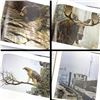 Image 13 : THE ART OF ROBERT BATEMAN - NATURE PAINTINGS