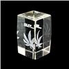 Image 2 : CLEAR GLASS CANNABIS POT LEAF IMAGE PAPERWEIGHT