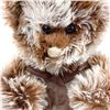 Image 2 : CUTE FLUFFY BUT ANGRY LOOKING PLUSH TEDDY BEAR