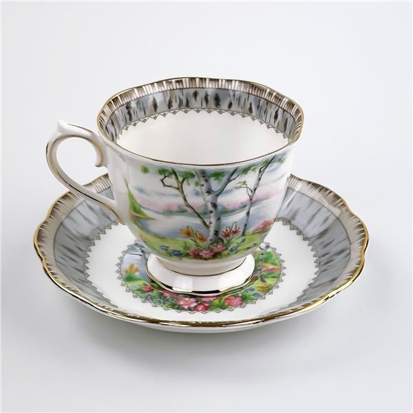 ROYAL ALBERT SILVER BIRCH TEA CUP & SAUCER SET