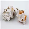 Image 7 : PAIR OF PORCELAIN DOG FIGURINES - BASSETT HOUND?