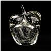 Image 1 : CLEAR CRYSTAL BLOWN ART GLASS APPLE PAPERWEIGHT