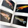 Image 8 : EXOTIC TROPICAL FISHES EXPANDED EDITION HC BOOK