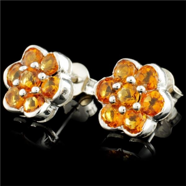 Garnet Earrings - 14K Gold - 2.80ctw