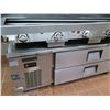 Image 3 : Vulcan Griddle Grill w/ Everest Warming Cabinet