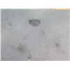 Image 3 : Square Table on Metal Pedestal Base w/ 4 Chairs (outdoors - tops damaged/stained)