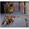 Image 4 : SCARY MOVIE 2 SKELETON PUPPET SCREEN MATCHED HERO DISCOMBOBULATED EVIL DEAD ARMY OF DARKNESS PARODY