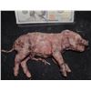 AMERICAN HORROR STORY ROANOKE DEAD PIG FETUS SCREEN USED 2