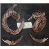 Image 1 : SCREAM QUEENS GREEN MEANIE ARMATURED DEMON HORNS SET A