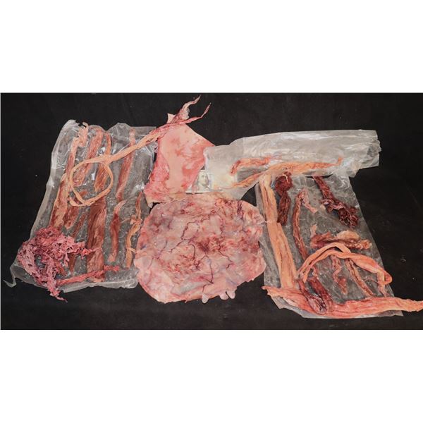 AMERICAN HORROR STORY ROANOKE TENDONS AND GORE SILICONE LOT