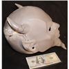 Image 2 : SCREAM QUEENS RED DEVIL FULL HEAD MASK A