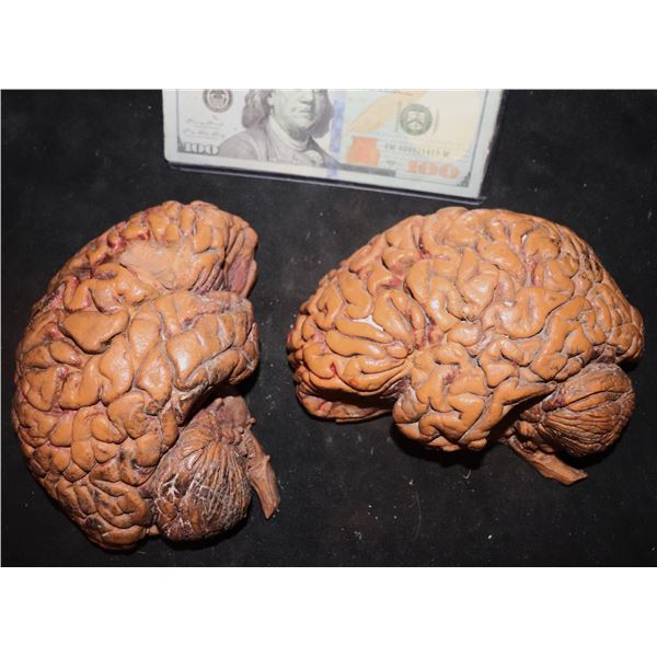 BRAIN URETHANE INDUSTRIAL STRENGTH BLOODY