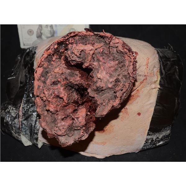 SEVERED HEAD NECK STUMP