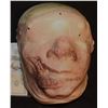 Image 1 : AMERICAN HORROR STORY ASYLUM SILICONE MUTANT FACIAL APPLIANCE A