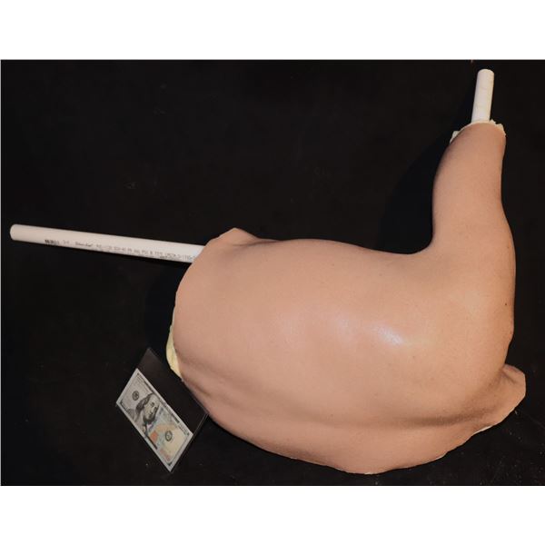 AMERICAN HORROR STORY SILICONE HALF TORSO WITH LEFT ARM UNUSED