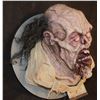 Image 3 : ARMY OF DARKNESS EVIL DEAD PIT BITCH ZOMBIE HEAD WITH ORIGINAL HAIR & FABRIC