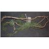 Image 2 : GUARDIANS OF THE GALAXY LARGE GROOT BRANCHES WITH LEAVES AND FLOWERS SCREEN USED