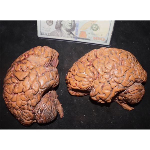 BRAIN URETHANE INDUSTRIAL STRENGTH BLOODY