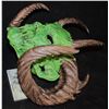 Image 2 : SCREAM QUEENS GREEN MEANIE DEMON MASK WITH HORNS