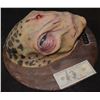 Image 2 : MOUNTED ALIEN TROPHY HEAD ON WOOD WITH NAME PLAQUE