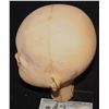 Image 2 : BABY OVERSIZED HEAD HALLOWEEN OR HAUNT PROP