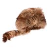 Image 18 : John Wayne "The Fighting Kentuckian" Coonskin Hat