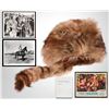 Image 1 : John Wayne "The Fighting Kentuckian" Coonskin Hat