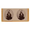Image 1 : Chippewa Chief Stereoview Card Indian Photograph