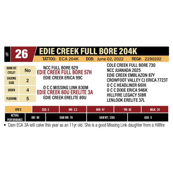 EDIE CREEK FULL BORE 204K