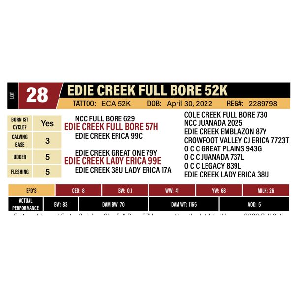 EDIE CREEK FULL BORE 52K
