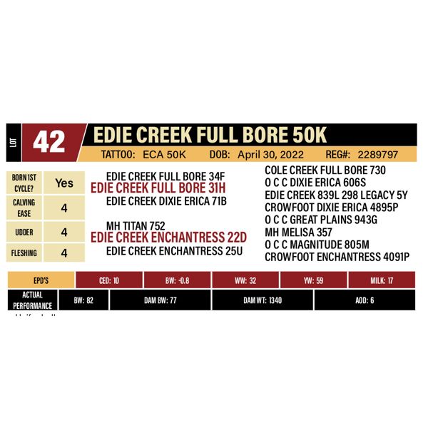 EDIE CREEK FULL BORE 50K