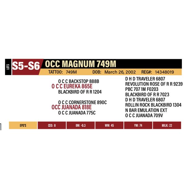 2 Straws of OCC MAGNUM 749M