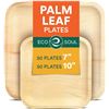 Image 1 : NEW ECO SOUL 100 COUNT OF PALM LEAF PLATES - 50PCS
