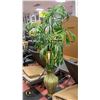 Image 1 : 6 FOOT TALL SILK TREE IN ORNATE