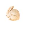 Image 8 : 19th Century Carved Netsuke Red-Eyed White Rabbit