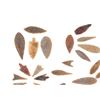 Image 2 : Sub Saharan Arabian Projectile Points c. 7500-6500