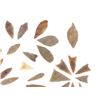 Image 3 : Sub Saharan Arabian Projectile Points c. 7500-6500