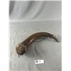 Image 2 : Vintage/Antique Powder Horn