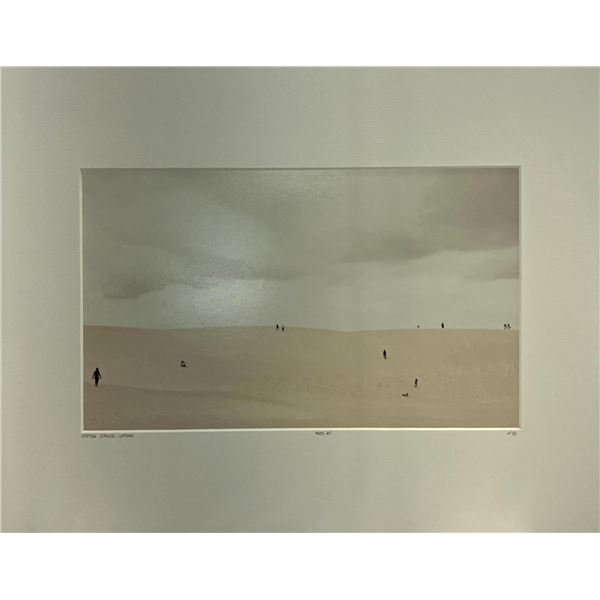 Steffen Schulte Lippern Ants #1 Desert Sand
