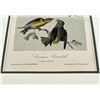 Image 2 : John James Audubon Book Print Common Crossbill