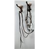 Image 1 : Old Montana Horse Bit and Reins