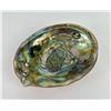 Image 1 : Abalone Sea Shell