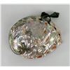 Image 2 : Abalone Sea Shell