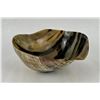 Image 2 : Hand Carved Polished Steer Horn Bowl